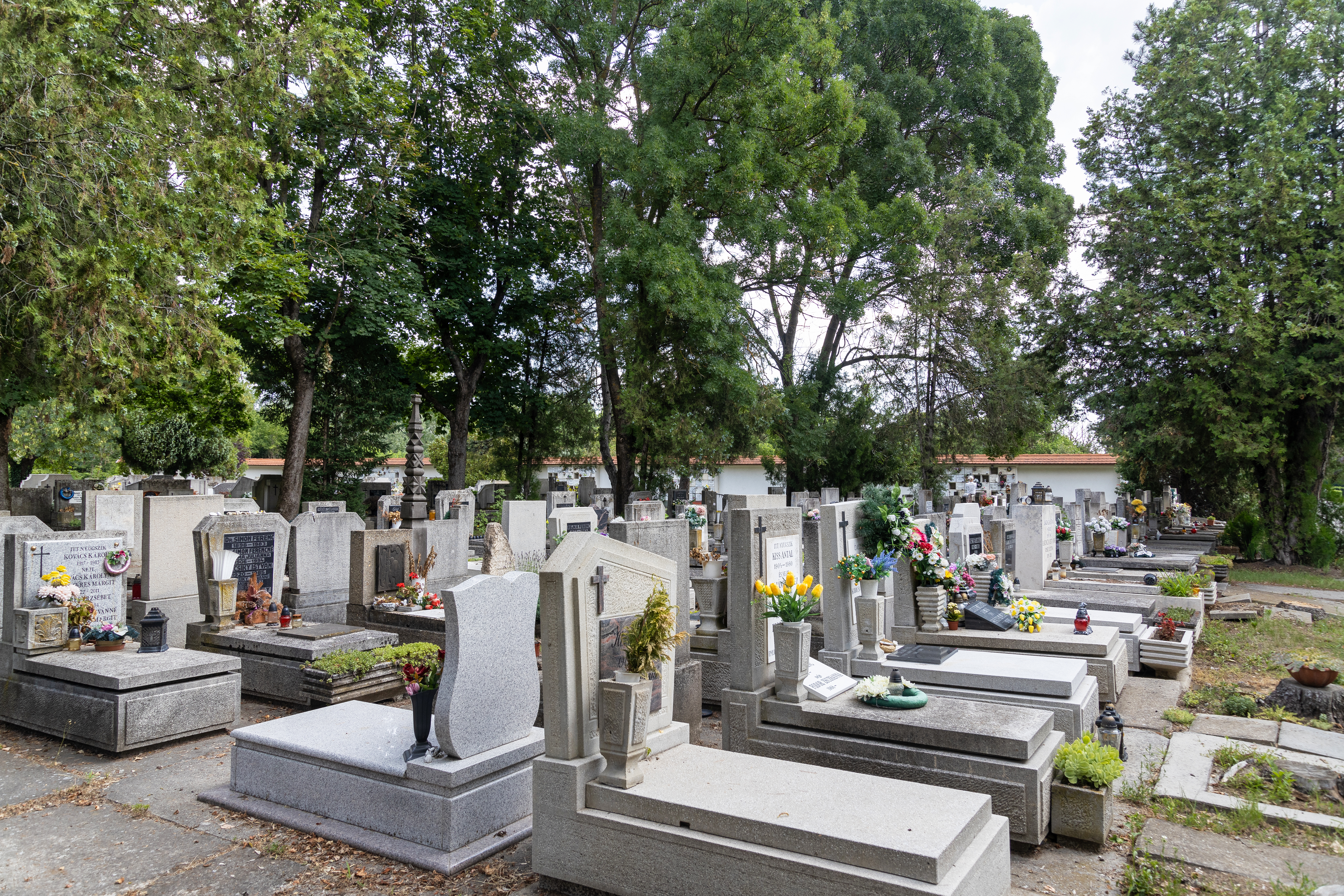 Temetési helyek megváltása és hosszabbítása